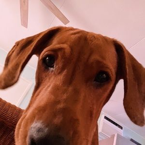 Meet your Posher, Marissa